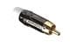 Amphenol Audio ACPL-CWH