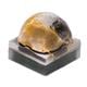 Cree LED XQEAWT-00-0000-00000BCE5
