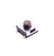 E-Switch TL3303AF100QG