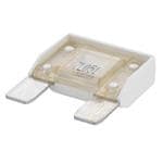 Transtector 3600-105 Büyütülmüş Görüntü