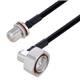 PolyPhaser CASPF250013-1M