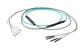 Pasternack PE3FCA205-5M
