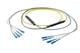 Pasternack PE3FCA249-5M