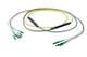 Pasternack PE3FCA308-5M