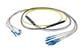 Pasternack PE3FCA385-5M