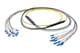Pasternack PE3FCA451-10M