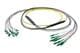 Pasternack PE3FCA456-5M