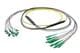 Pasternack PE3FCA460-5M