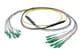Pasternack PE3FCA464-10M