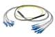 Pasternack PE3FCA467-5M