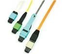 MPO Cable Assemblies