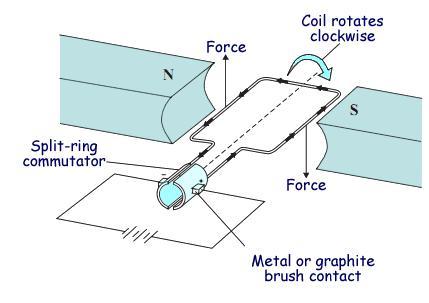 Conceptual Arrangement of the Brushless DC Motor