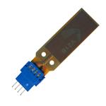 Mide V21B Büyütülmüş Görüntü